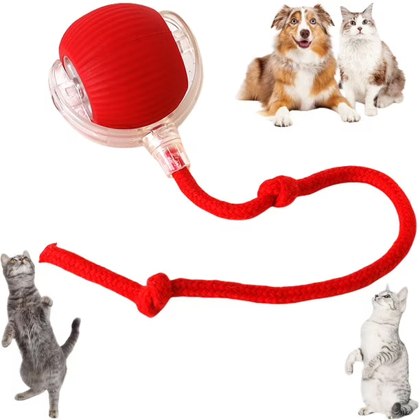 Pelota Interactiva Para Gatos Con Soga
