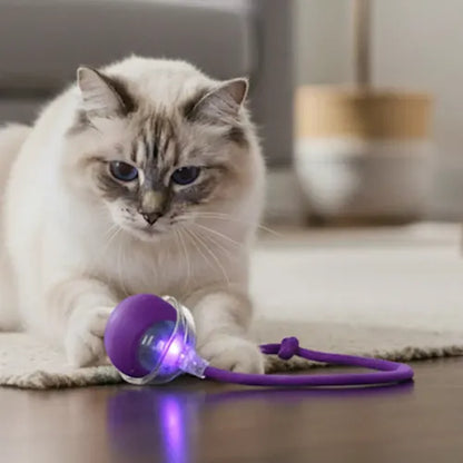 Pelota Interactiva Para Gatos Con Soga