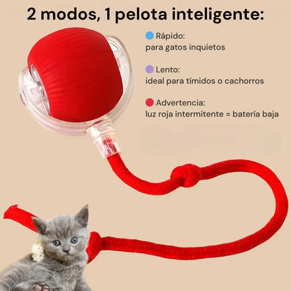 Pelota Interactiva Para Gatos Con Soga